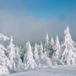 Sennik: zmarłego ojca widzieć żywego – co to oznacza?